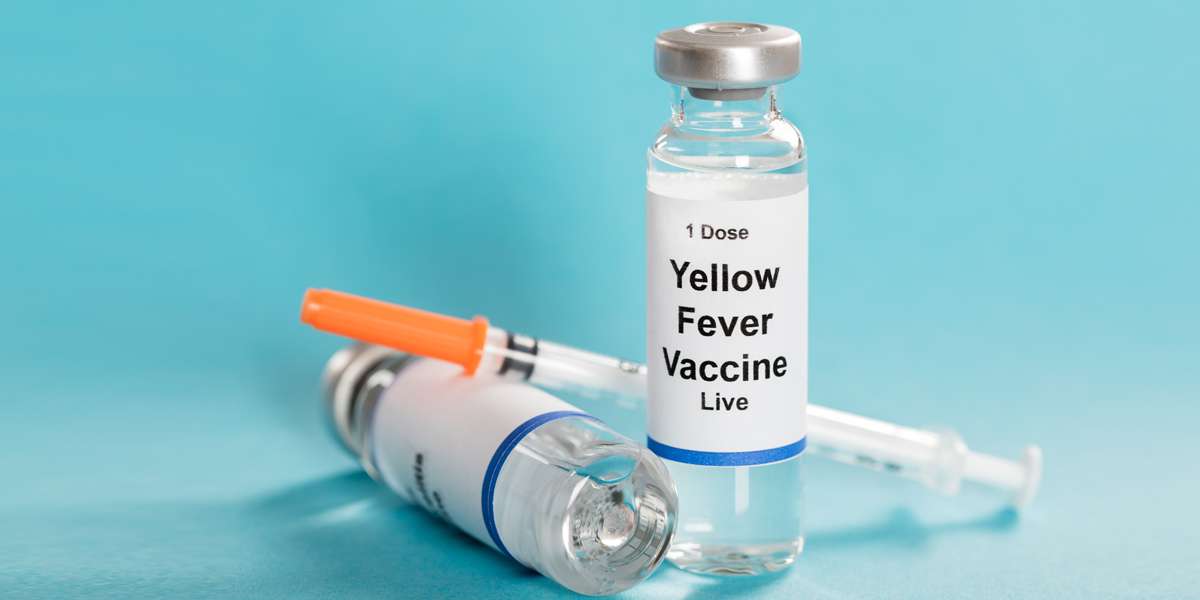 Yellow Fever Vaccines Procurement Scandal Rocks City Hall  