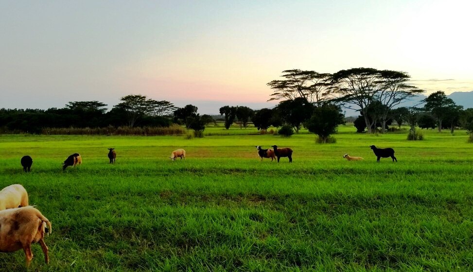 Tourism Fund Targets Mt Kenya Region For Agri And Adventure Tourism Growth 