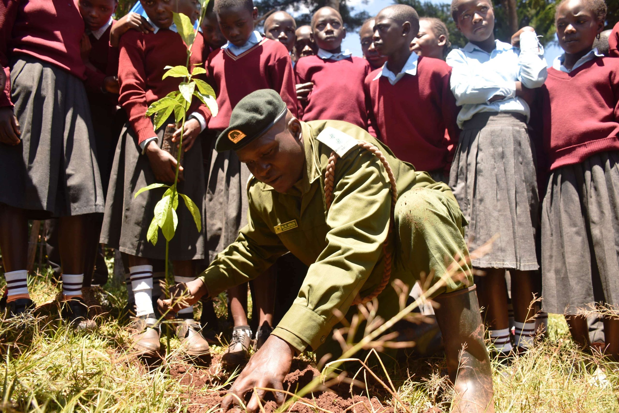 200,000 Fruit Trees Planted to Revive Mt Elgon in Major Reforestation Drive
